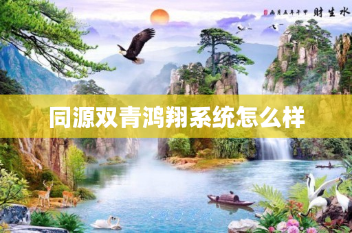 同源双青鸿翔系统怎么样