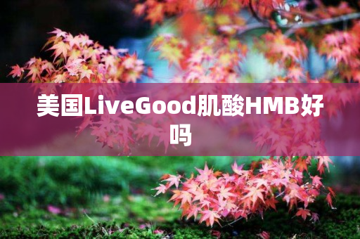 美国LiveGood肌酸HMB好吗