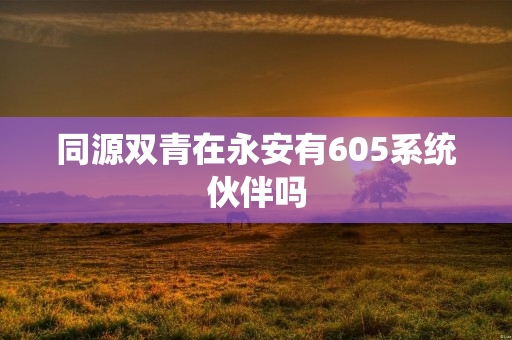 同源双青在永安有605系统伙伴吗