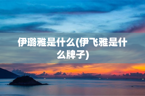 伊璐雅是什么(伊飞雅是什么牌子)