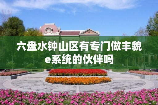 六盘水钟山区有专门做丰貌e系统的伙伴吗