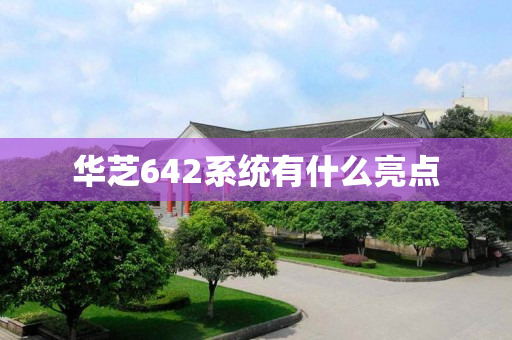 华芝642系统有什么亮点