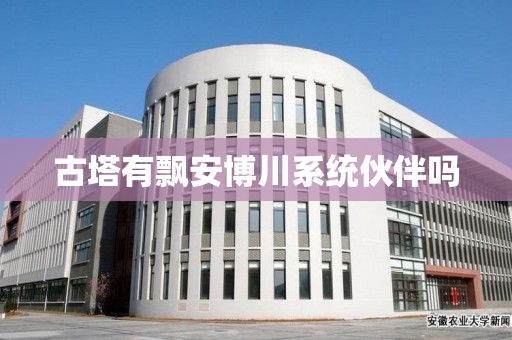 古塔有飘安博川系统伙伴吗