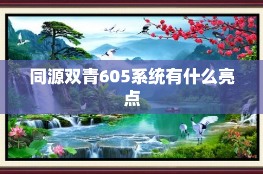 同源双青605系统有什么亮点