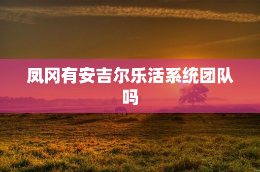 凤冈有安吉尔乐活系统团队吗