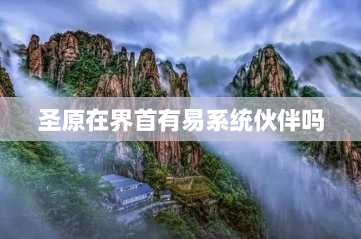 圣原在界首有易系统伙伴吗