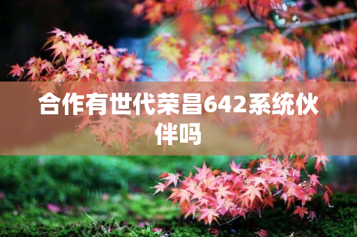 合作有世代荣昌642系统伙伴吗