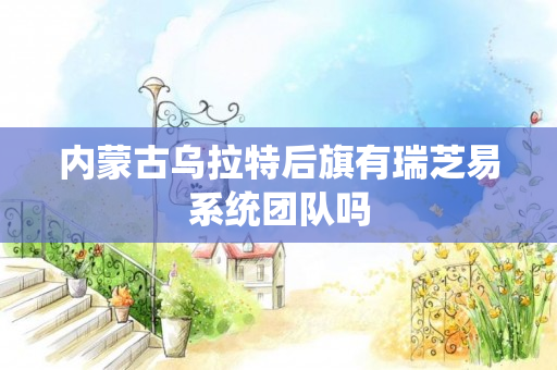 内蒙古乌拉特后旗有瑞芝易系统团队吗