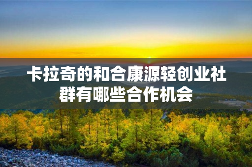 卡拉奇的和合康源轻创业社群有哪些合作机会