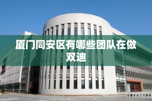 厦门同安区有哪些团队在做双迪