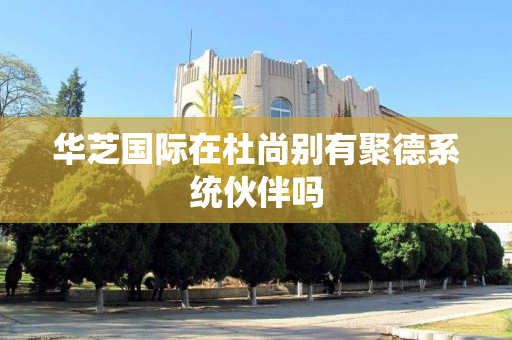 华芝国际在杜尚别有聚德系统伙伴吗