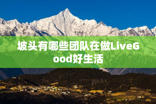 坡头有哪些团队在做LiveGood好生活