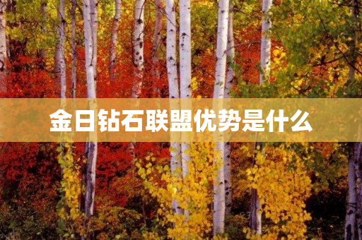 金日钻石联盟优势是什么