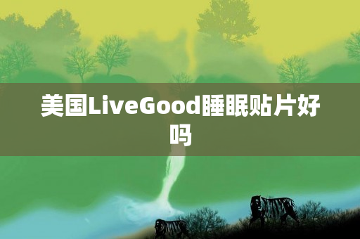 美国LiveGood睡眠贴片好吗