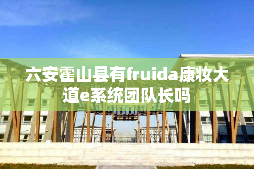 六安霍山县有fruida康妆大道e系统团队长吗