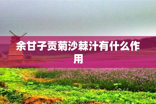 余甘子贡菊沙棘汁有什么作用