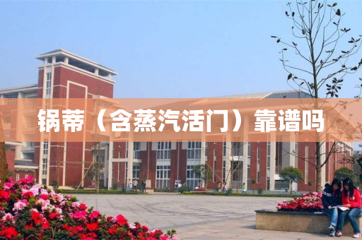 锅蒂（含蒸汽活门）靠谱吗