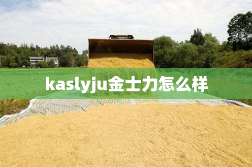 kaslyju金士力怎么样