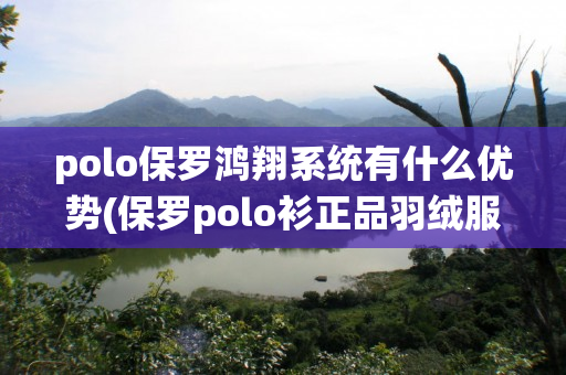 polo保罗鸿翔系统有什么优势(保罗polo衫正品羽绒服)