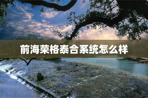 前海荣格泰合系统怎么样