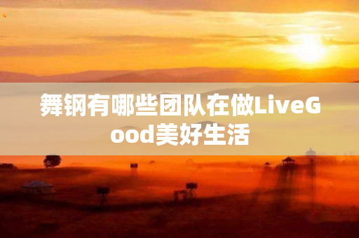 舞钢有哪些团队在做LiveGood美好生活