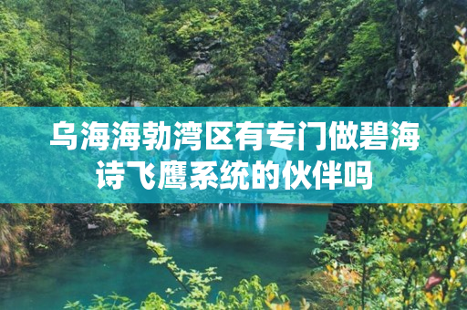 乌海海勃湾区有专门做碧海诗飞鹰系统的伙伴吗