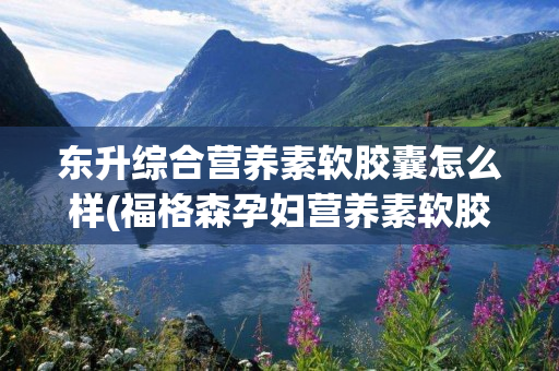 东升综合营养素软胶囊怎么样(福格森孕妇营养素软胶囊怎么样)