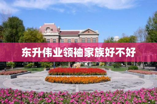 东升伟业领袖家族好不好