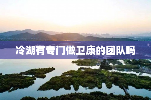 冷湖有专门做卫康的团队吗