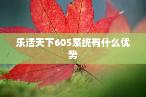 乐活天下605系统有什么优势