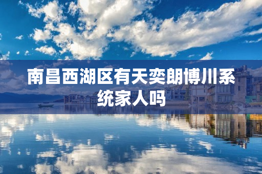 南昌西湖区有天奕朗博川系统家人吗