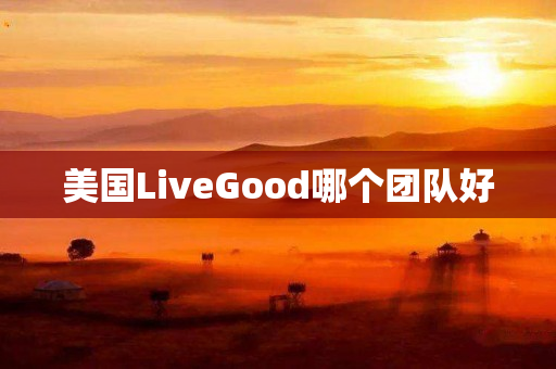 美国LiveGood哪个团队好