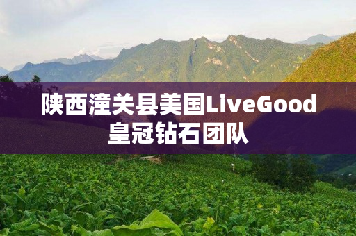 陕西潼关县美国LiveGood皇冠钻石团队