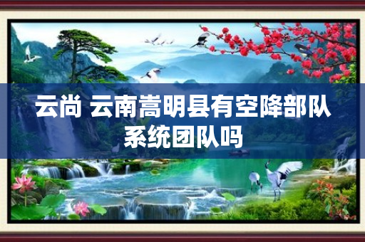 云尚 云南嵩明县有空降部队系统团队吗