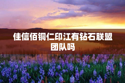 佳信佰铜仁印江有钻石联盟团队吗