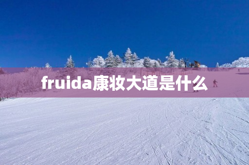 fruida康妆大道是什么