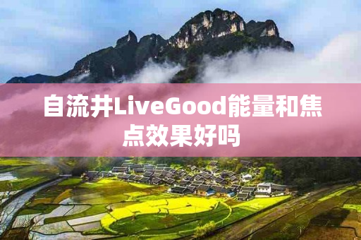 自流井LiveGood能量和焦点效果好吗