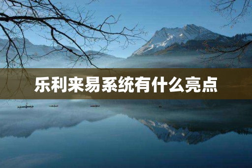 乐利来易系统有什么亮点
