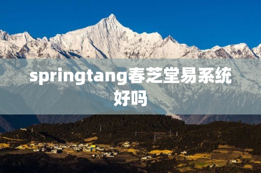 springtang春芝堂易系统好吗