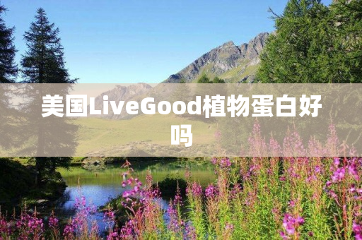 美国LiveGood植物蛋白好吗