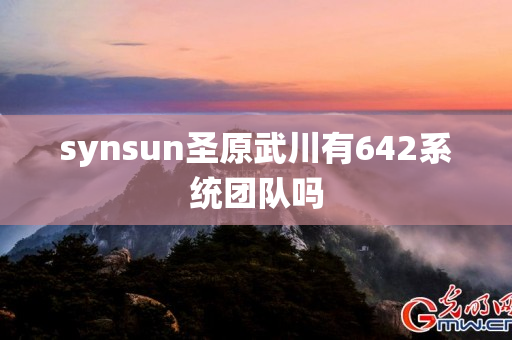synsun圣原武川有642系统团队吗