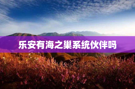 乐安有海之巢系统伙伴吗