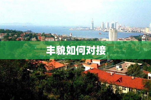 丰貌如何对接
