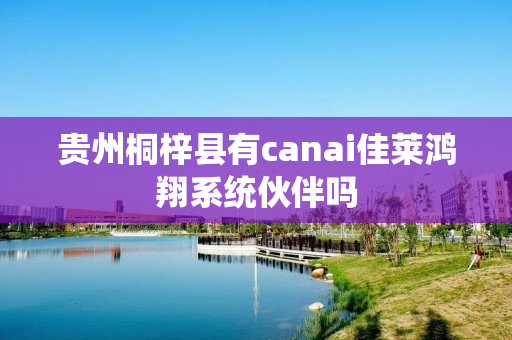 贵州桐梓县有canai佳莱鸿翔系统伙伴吗