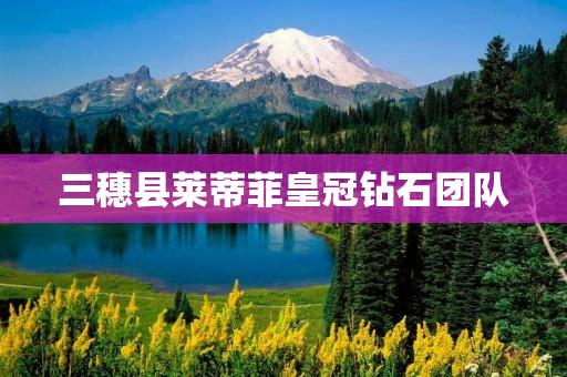 三穗县莱蒂菲皇冠钻石团队