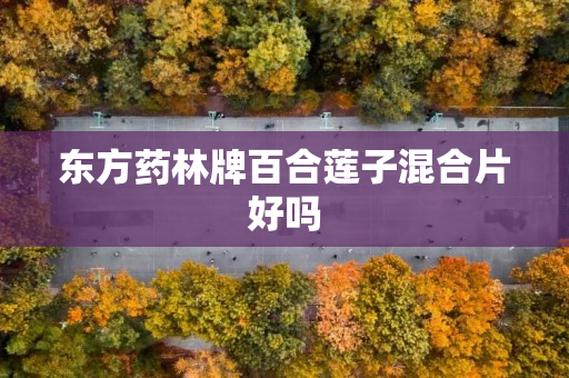 东方药林牌百合莲子混合片好吗