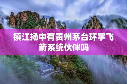 镇江扬中有贵州茅台环宇飞箭系统伙伴吗