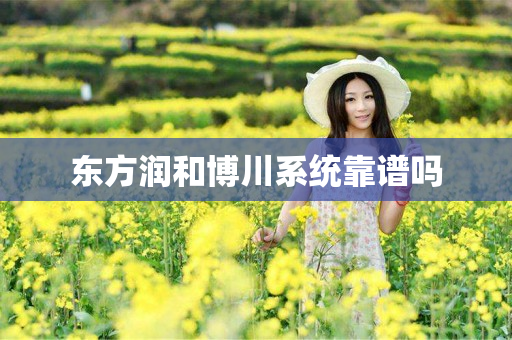 东方润和博川系统靠谱吗