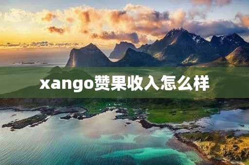 xango赞果收入怎么样