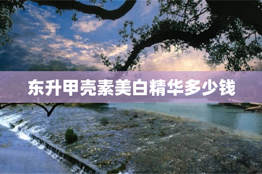 东升甲壳素美白精华多少钱